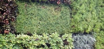 b_dryflex_02 b_dryflex_02